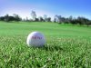 Fujitsu Golf SXGA.jpg